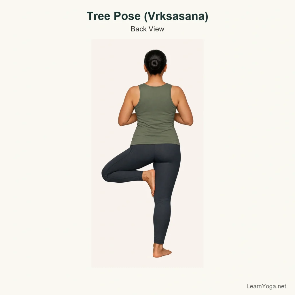 Person practising Tree Pose standing on one leg with the other foot placed on the inner leg and hands together at the chest.