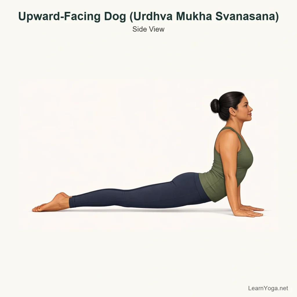 Side view of Upward-Facing Dog with straight arms, open chest and thighs lifted from the mat.